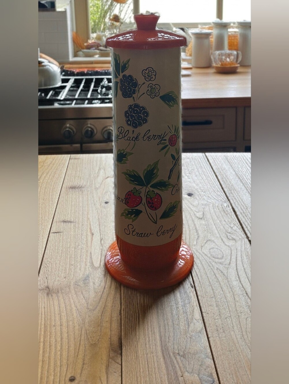 Vintage Lego Japan Plastic Straw Holder | 1970s Harvest Berry